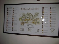IMG_5650.jpg, 23kB